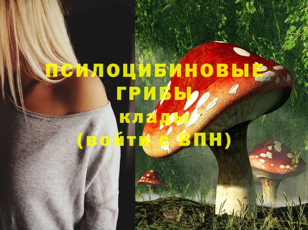 амф Богородск