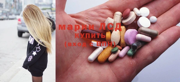 гашик Богданович