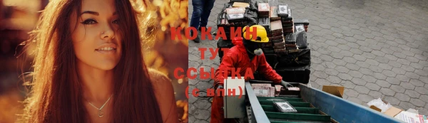 гашик Богданович