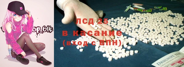 гашик Богданович