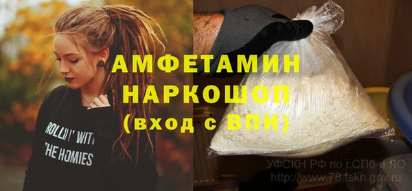 гашик Богданович