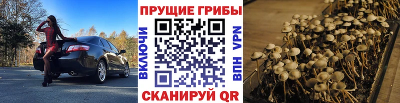 купить закладку  Горняк  Галлюциногенные грибы ЛСД 