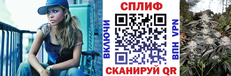 сколько стоит  Горняк  Каннабис сатива 